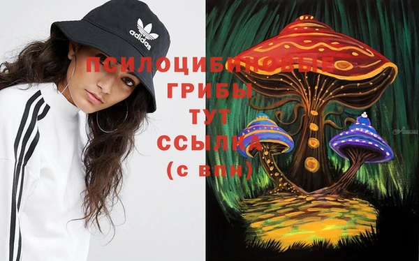 гидропоника Арсеньев