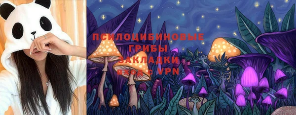 гидропоника Арсеньев