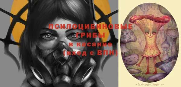 гидропоника Арсеньев